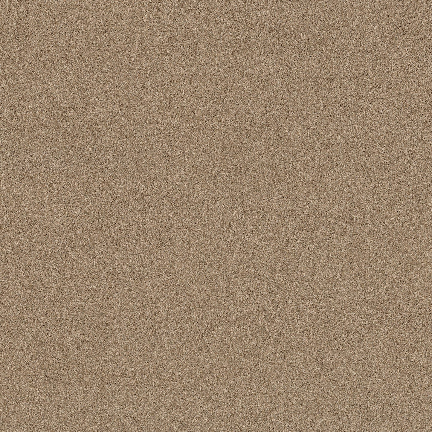 TEXTURE BCF