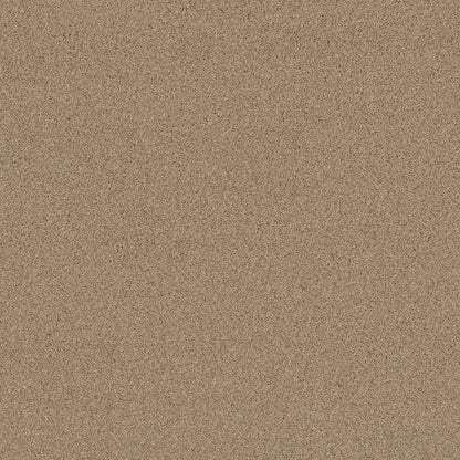 TEXTURE BCF