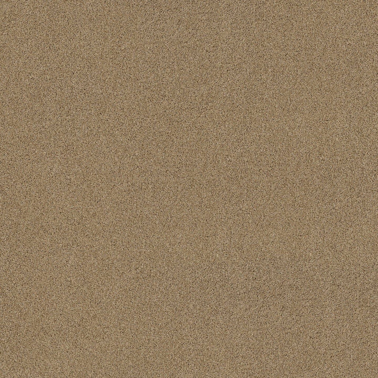TEXTURE BCF