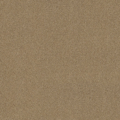 TEXTURE BCF