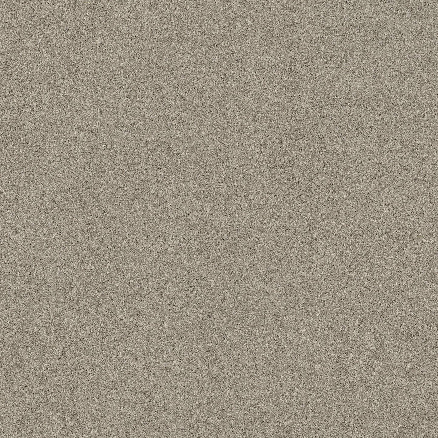 TEXTURE BCF
