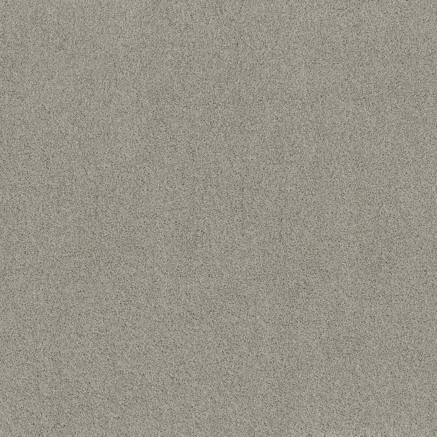 TEXTURE BCF