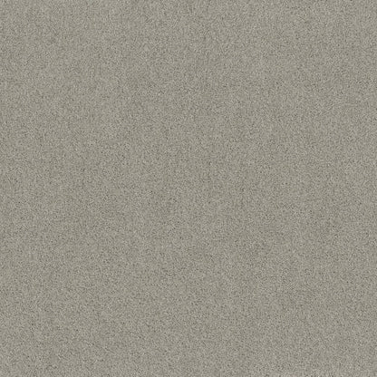TEXTURE BCF