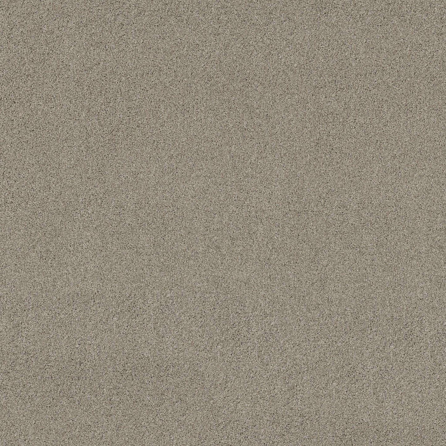 TEXTURE BCF
