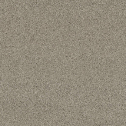 TEXTURE BCF