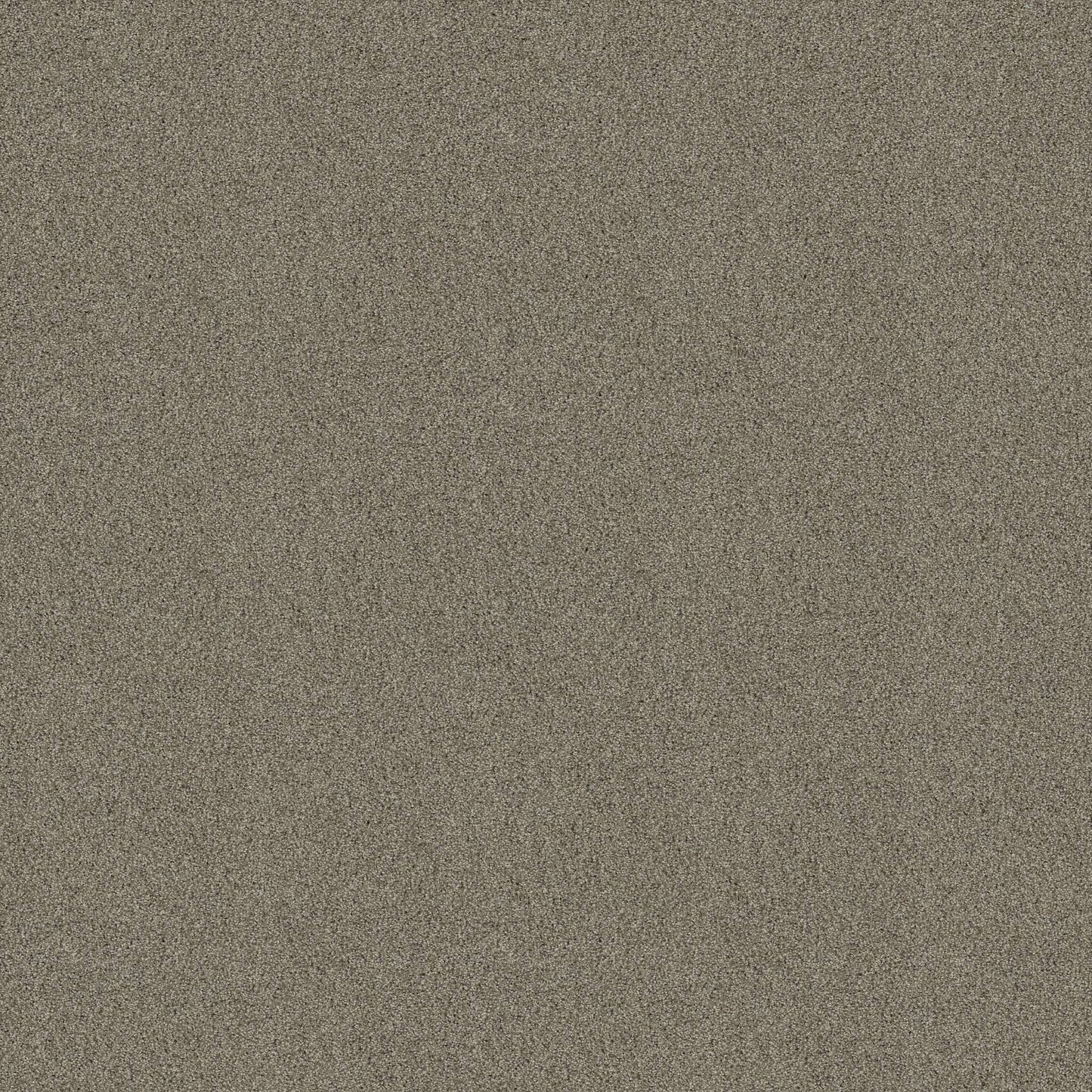 TEXTURE BCF