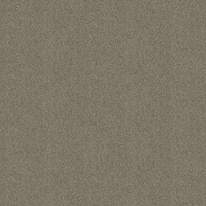 TEXTURE BCF