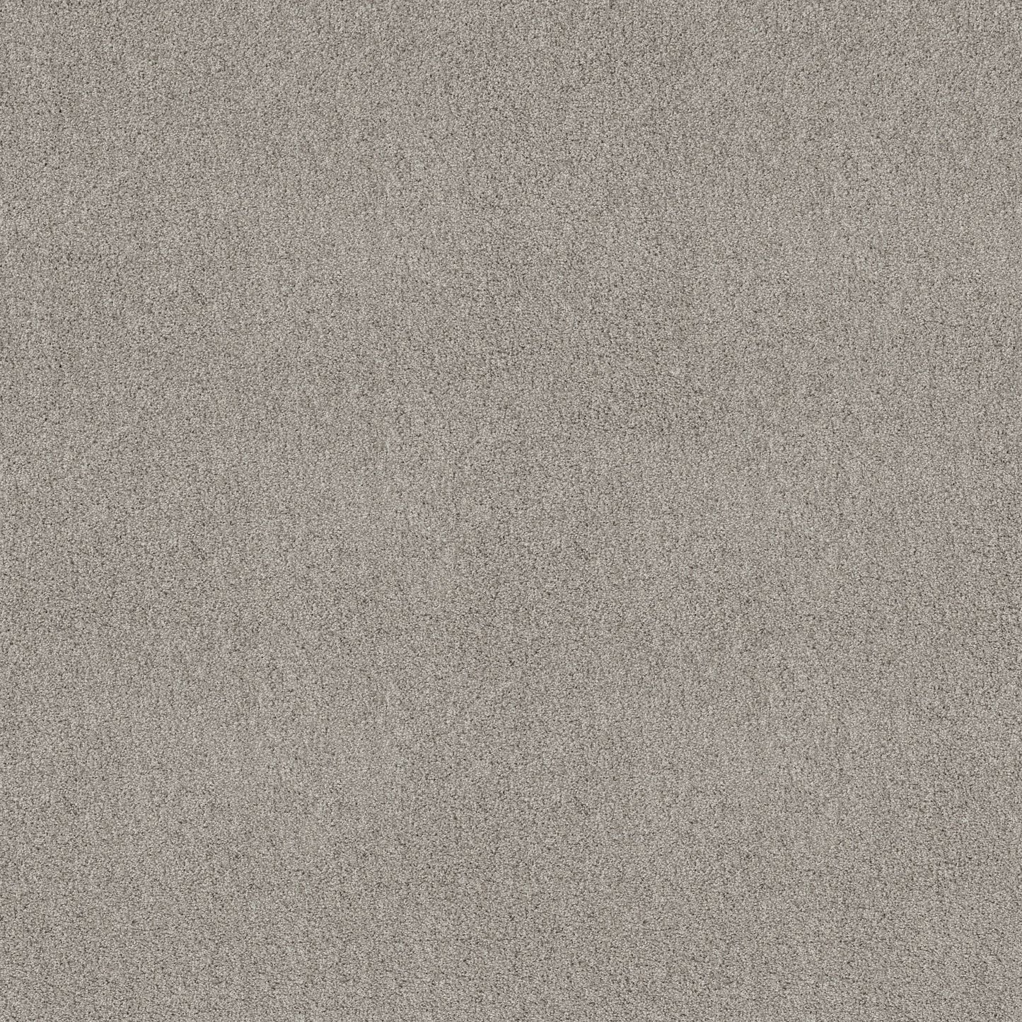 TEXTURE BCF