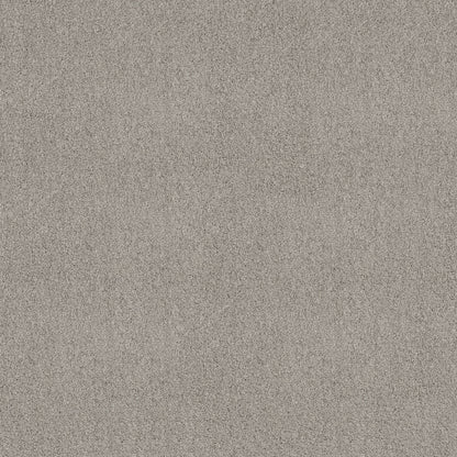 TEXTURE BCF