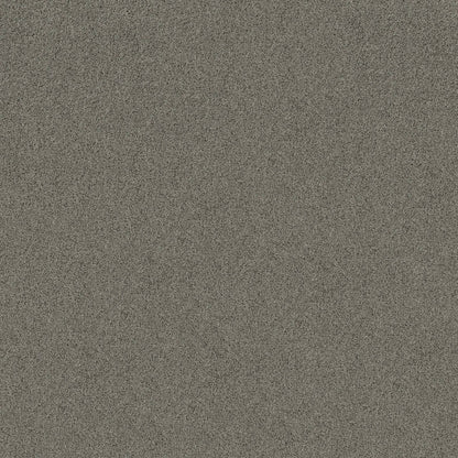 TEXTURE BCF