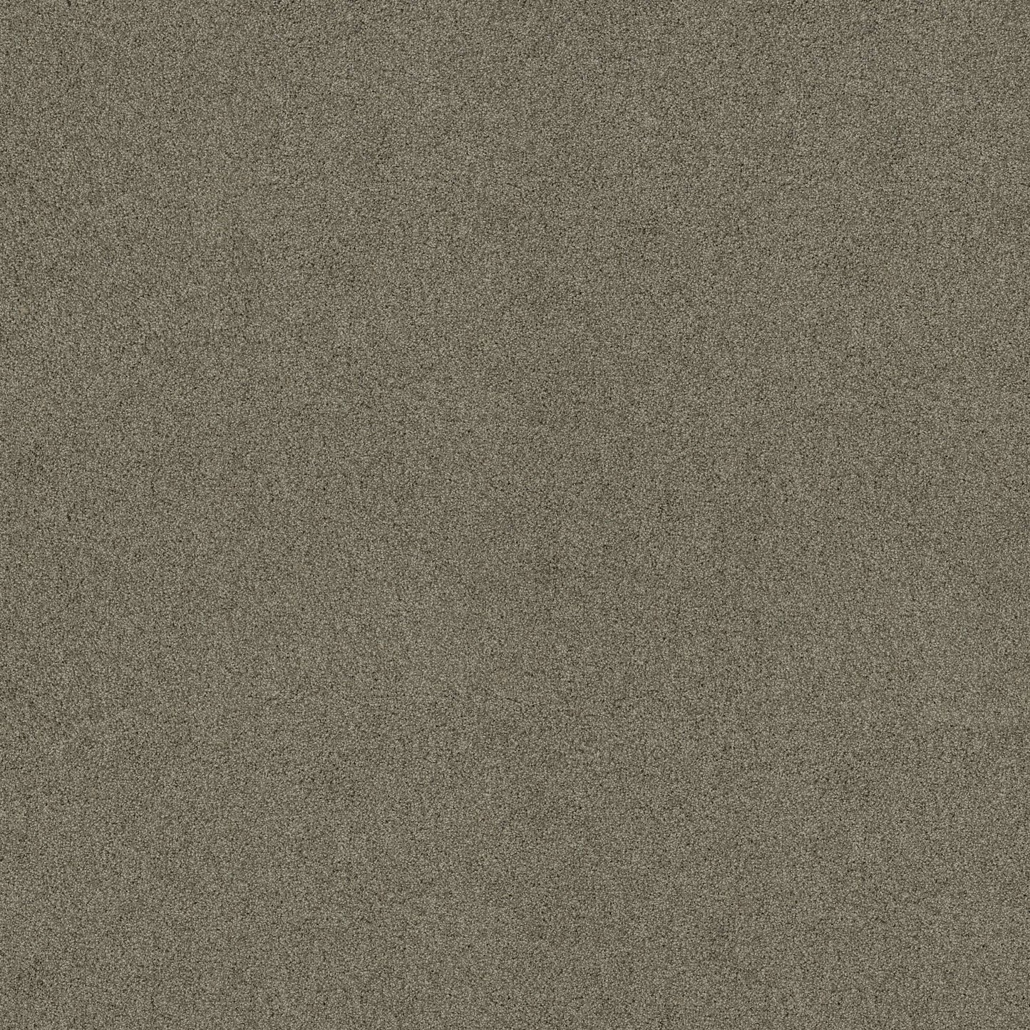 TEXTURE BCF