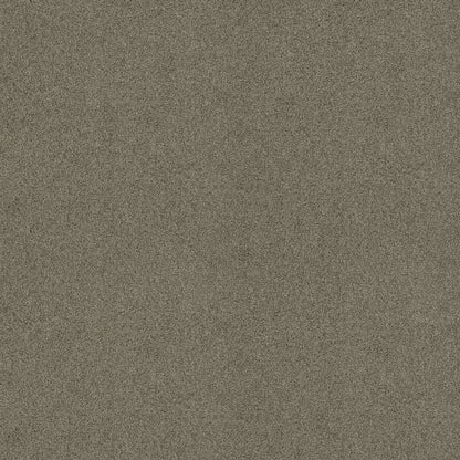 TEXTURE BCF