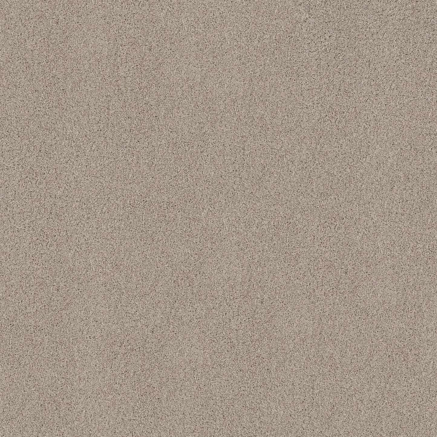 TEXTURE BCF