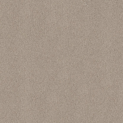 TEXTURE BCF