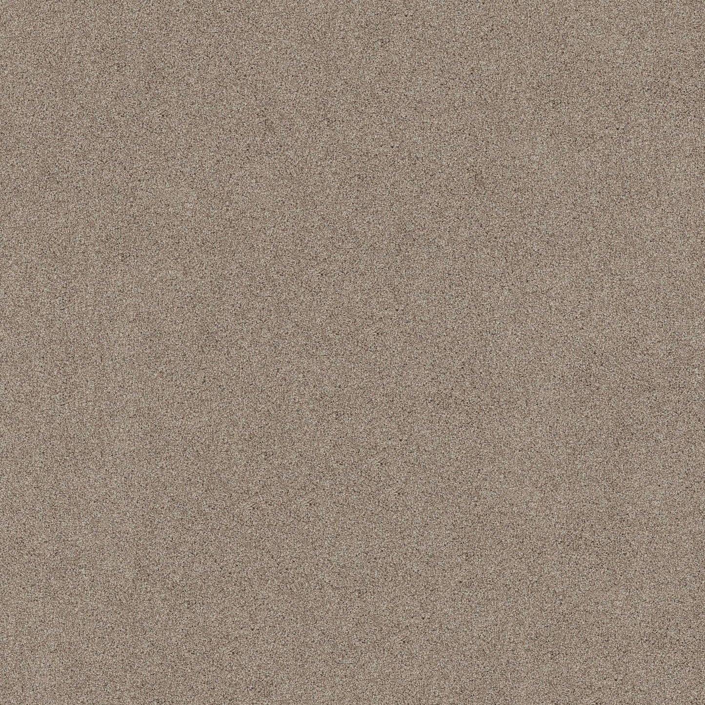 TEXTURE BCF