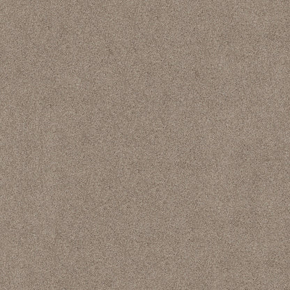 TEXTURE BCF