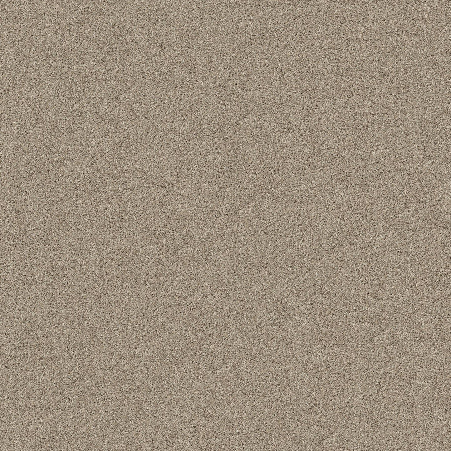 TEXTURE BCF