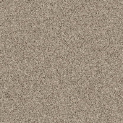 TEXTURE BCF