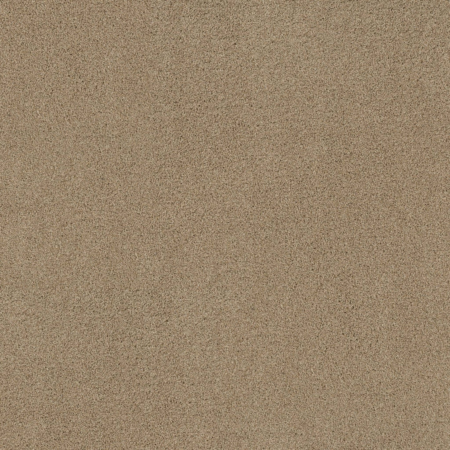 TEXTURE BCF