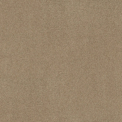 TEXTURE BCF