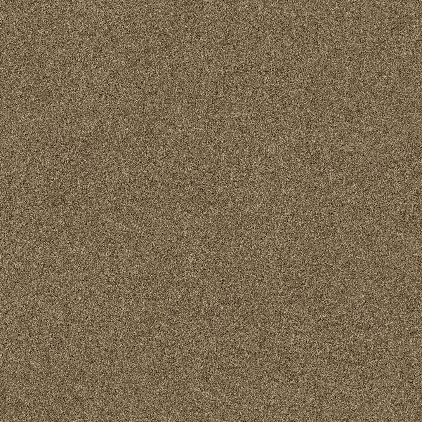 TEXTURE BCF