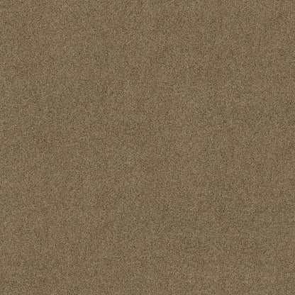 TEXTURE BCF