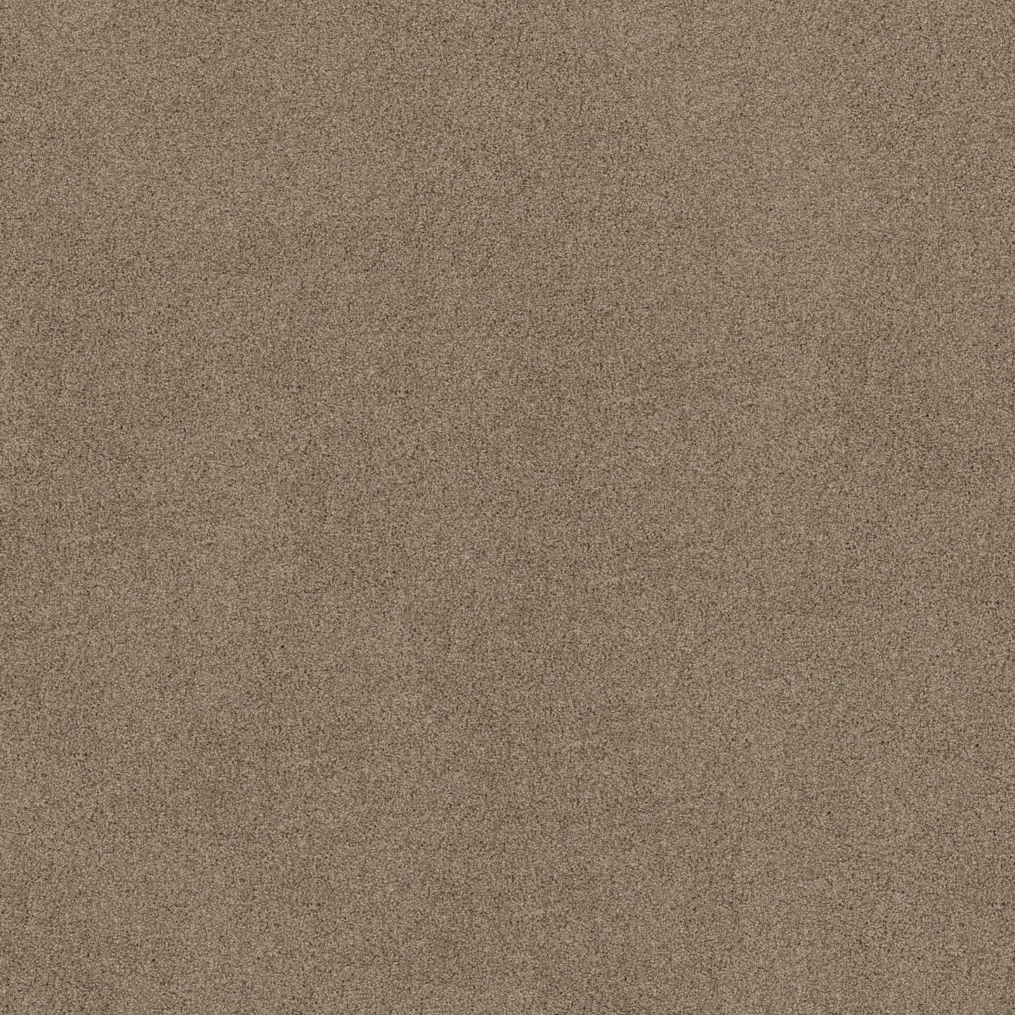 TEXTURE BCF