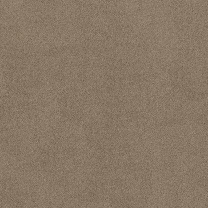 TEXTURE BCF