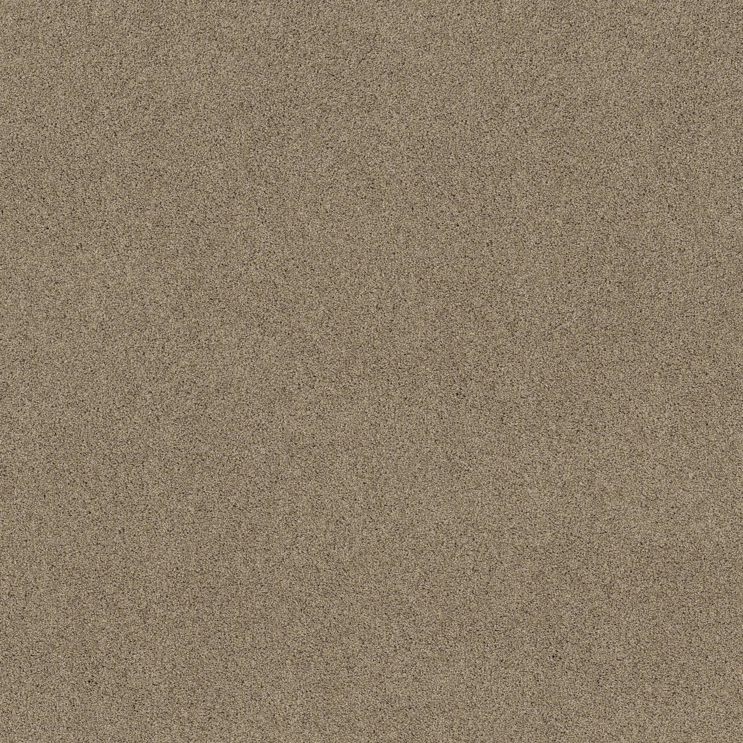 TEXTURE BCF