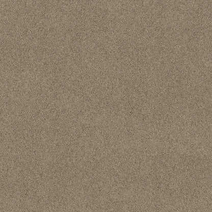 TEXTURE BCF
