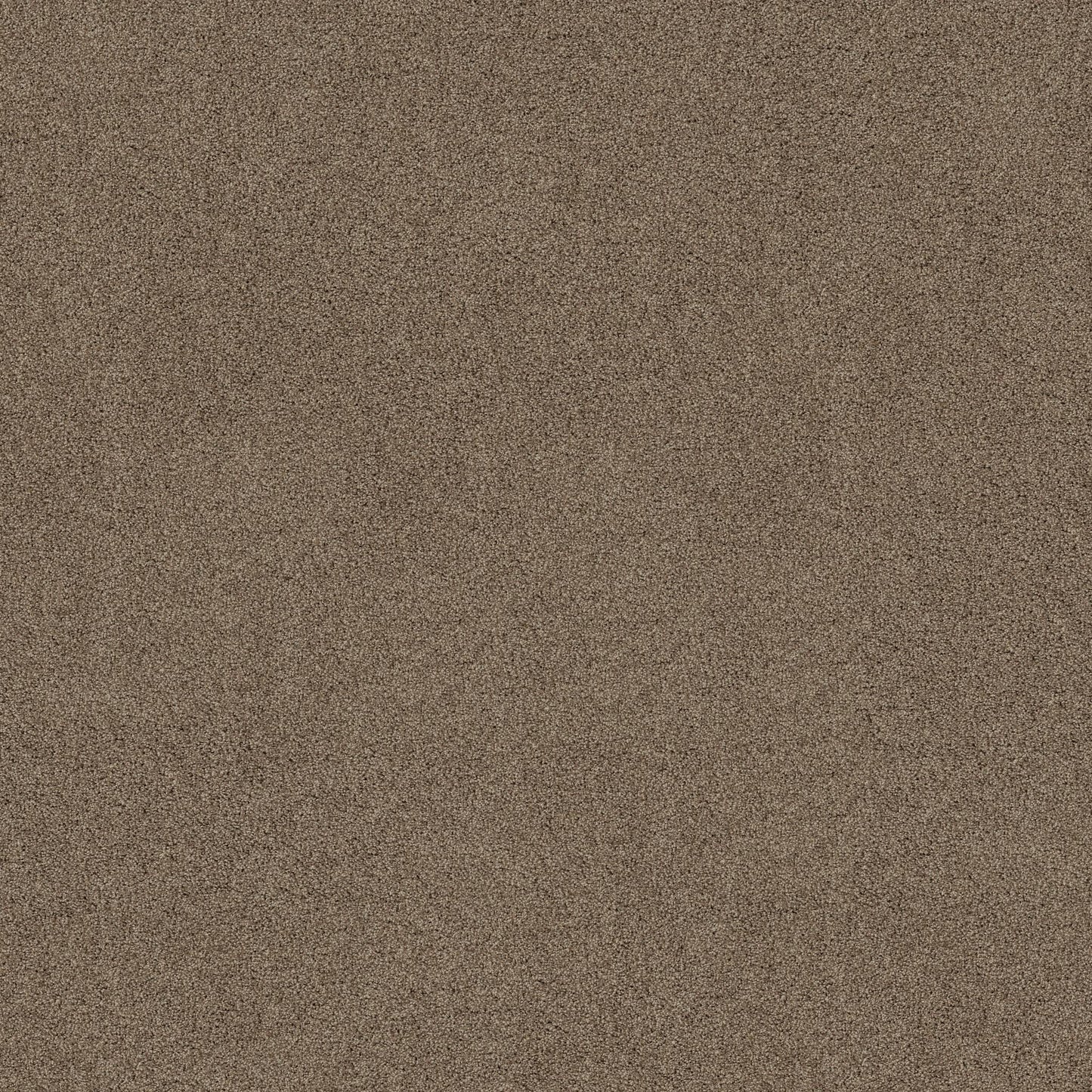 TEXTURE BCF