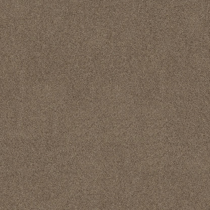 TEXTURE BCF
