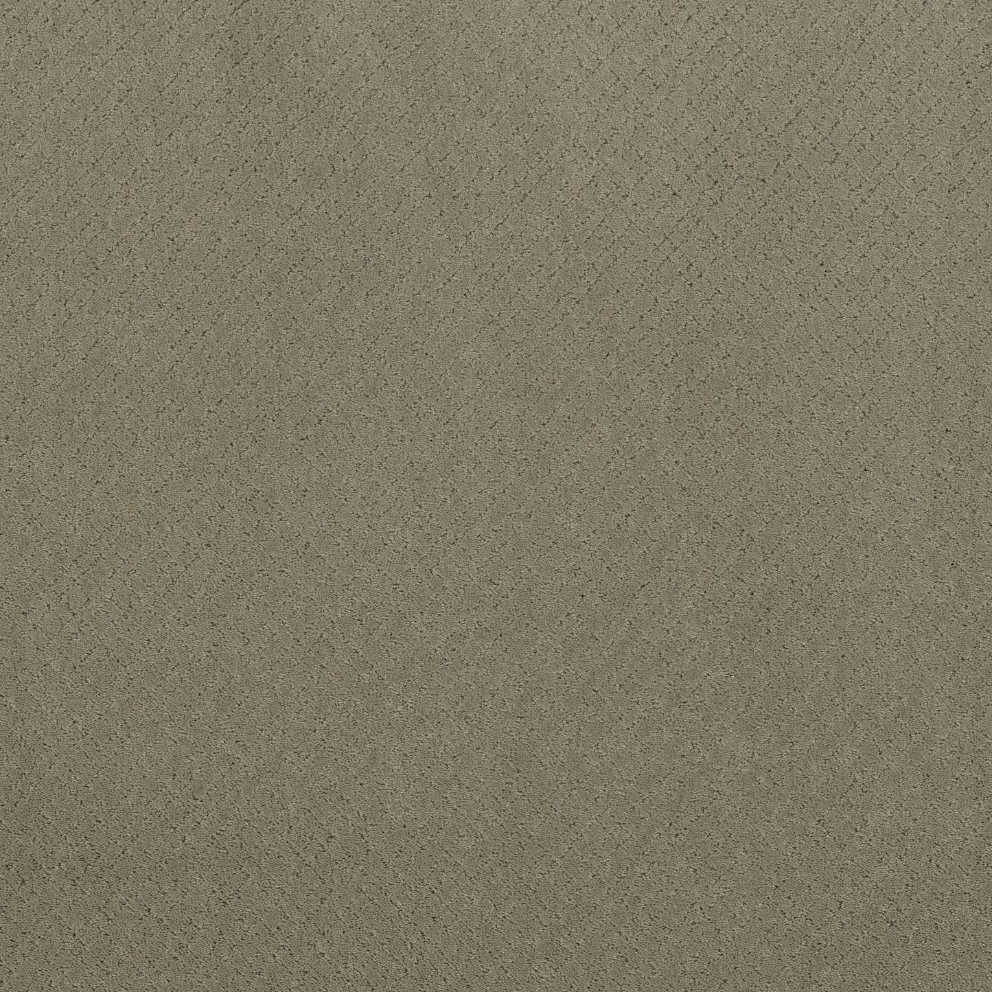 CUT UNCUT  R