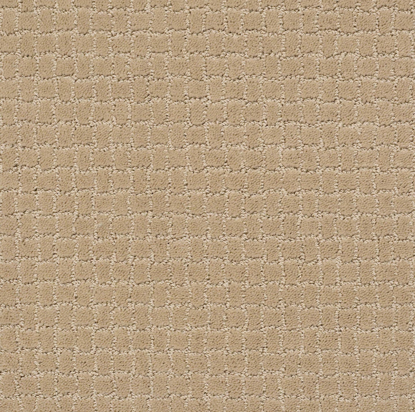 CUT UNCUT  R