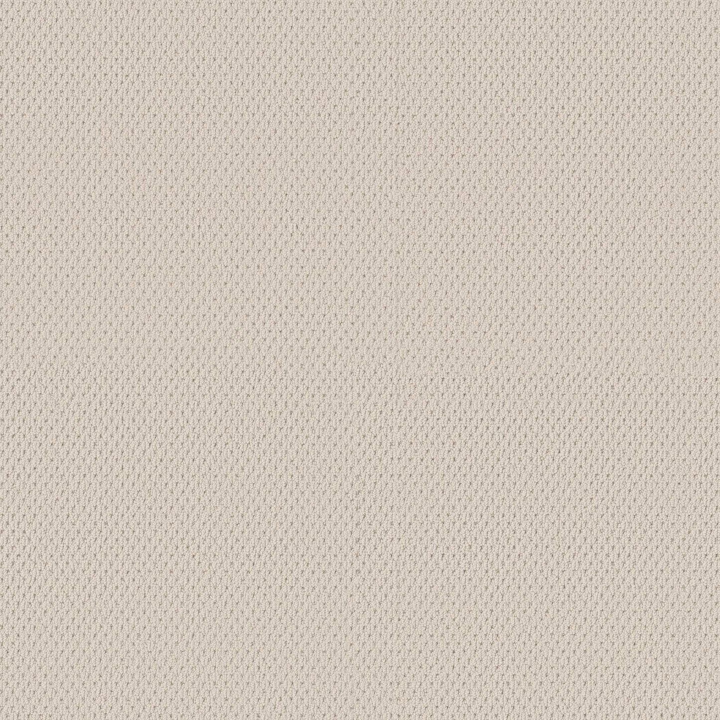 BERBER NYLON LOOP