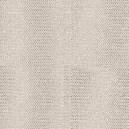 BERBER NYLON LOOP