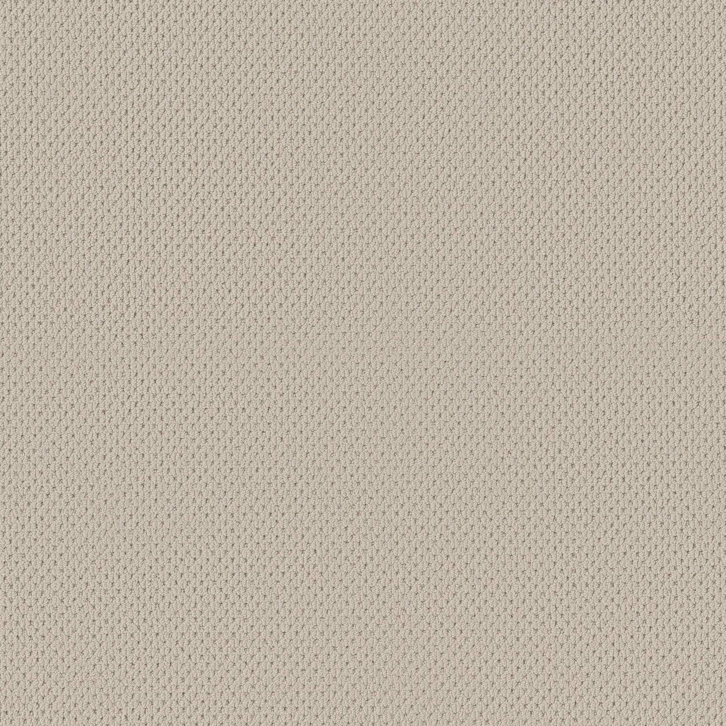 BERBER NYLON LOOP