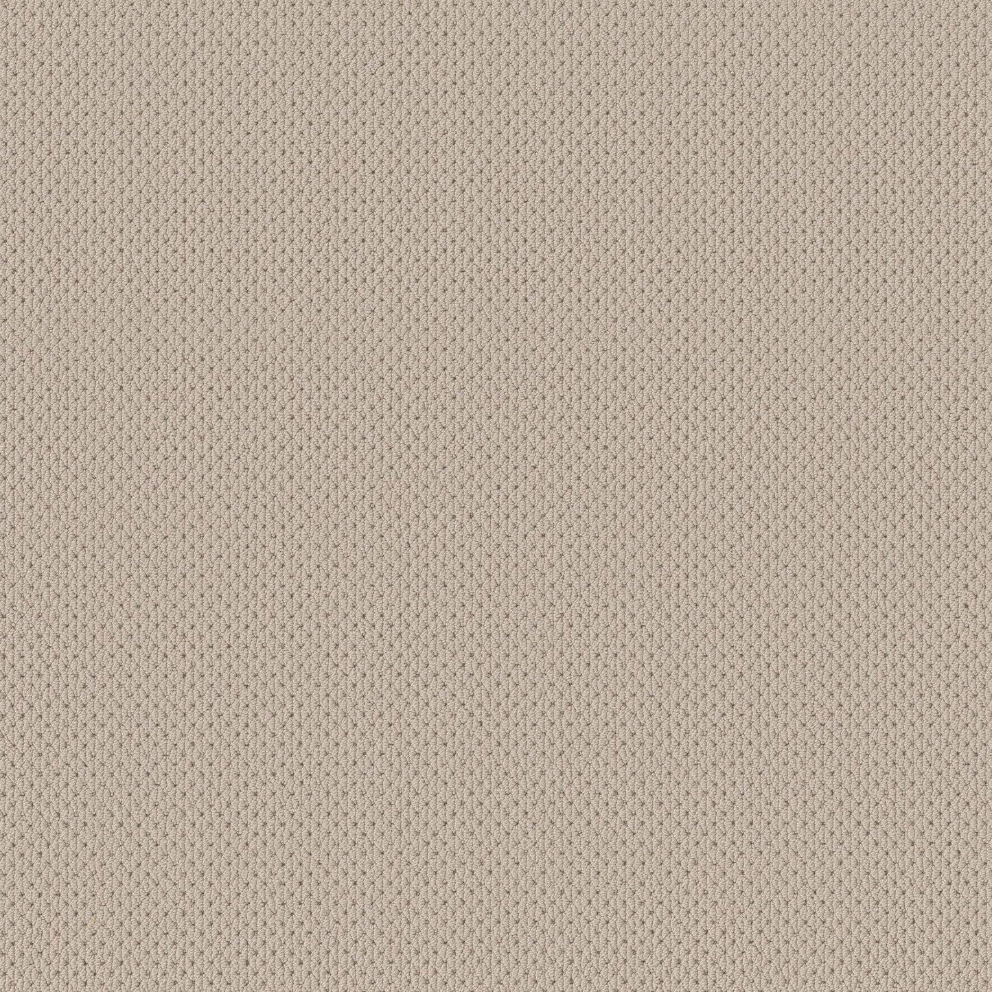 BERBER NYLON LOOP
