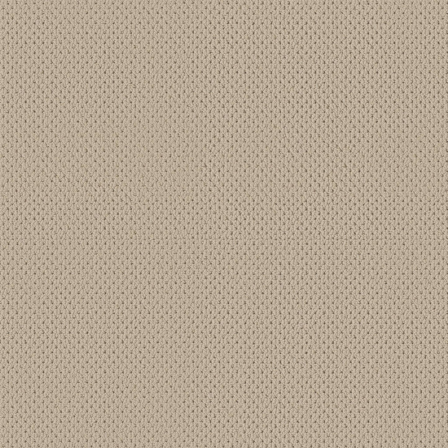 BERBER NYLON LOOP