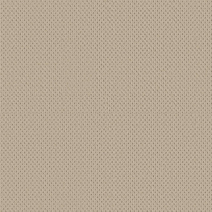 BERBER NYLON LOOP