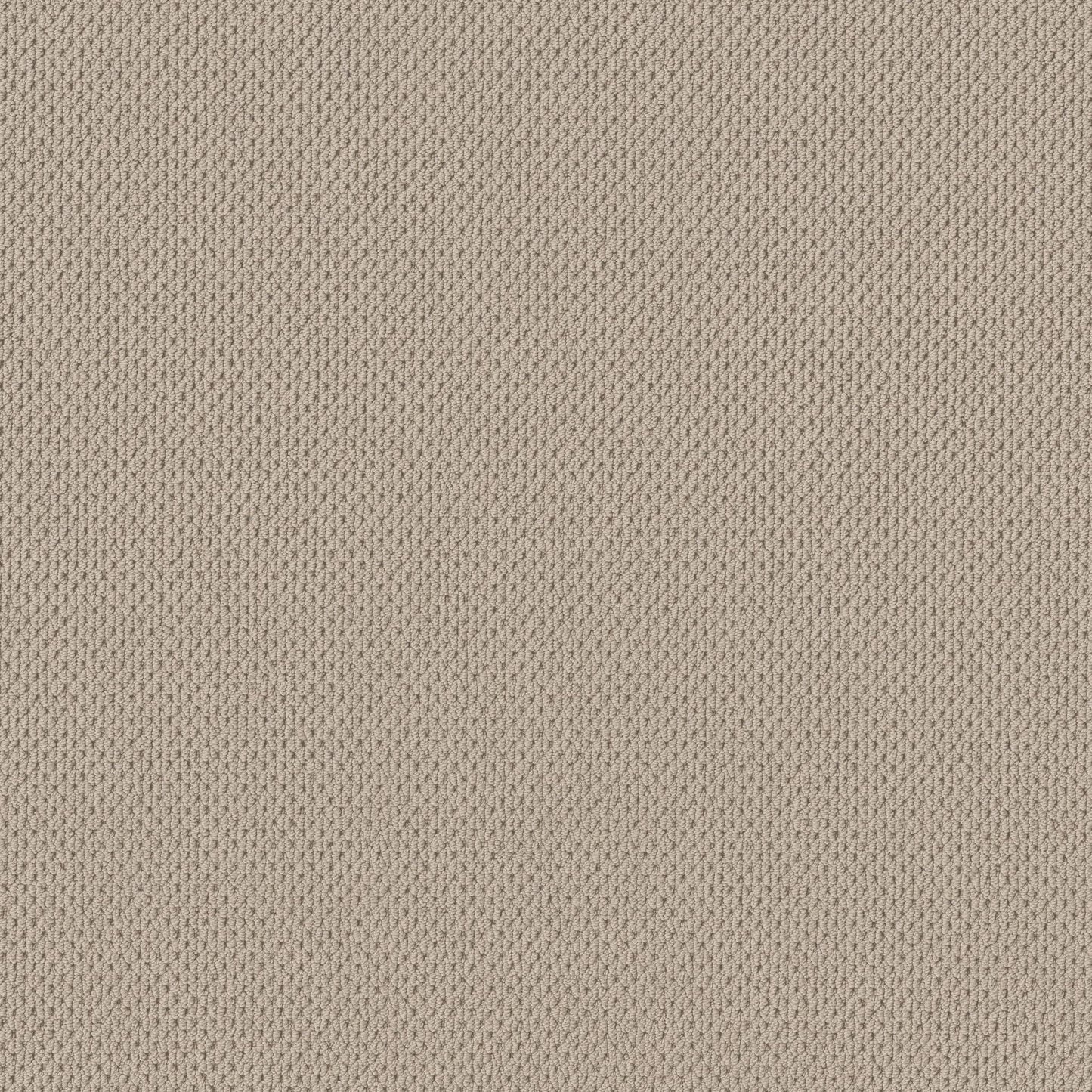 BERBER NYLON LOOP