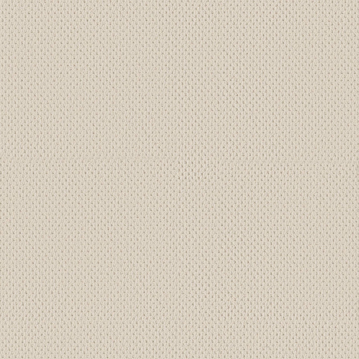 BERBER NYLON LOOP