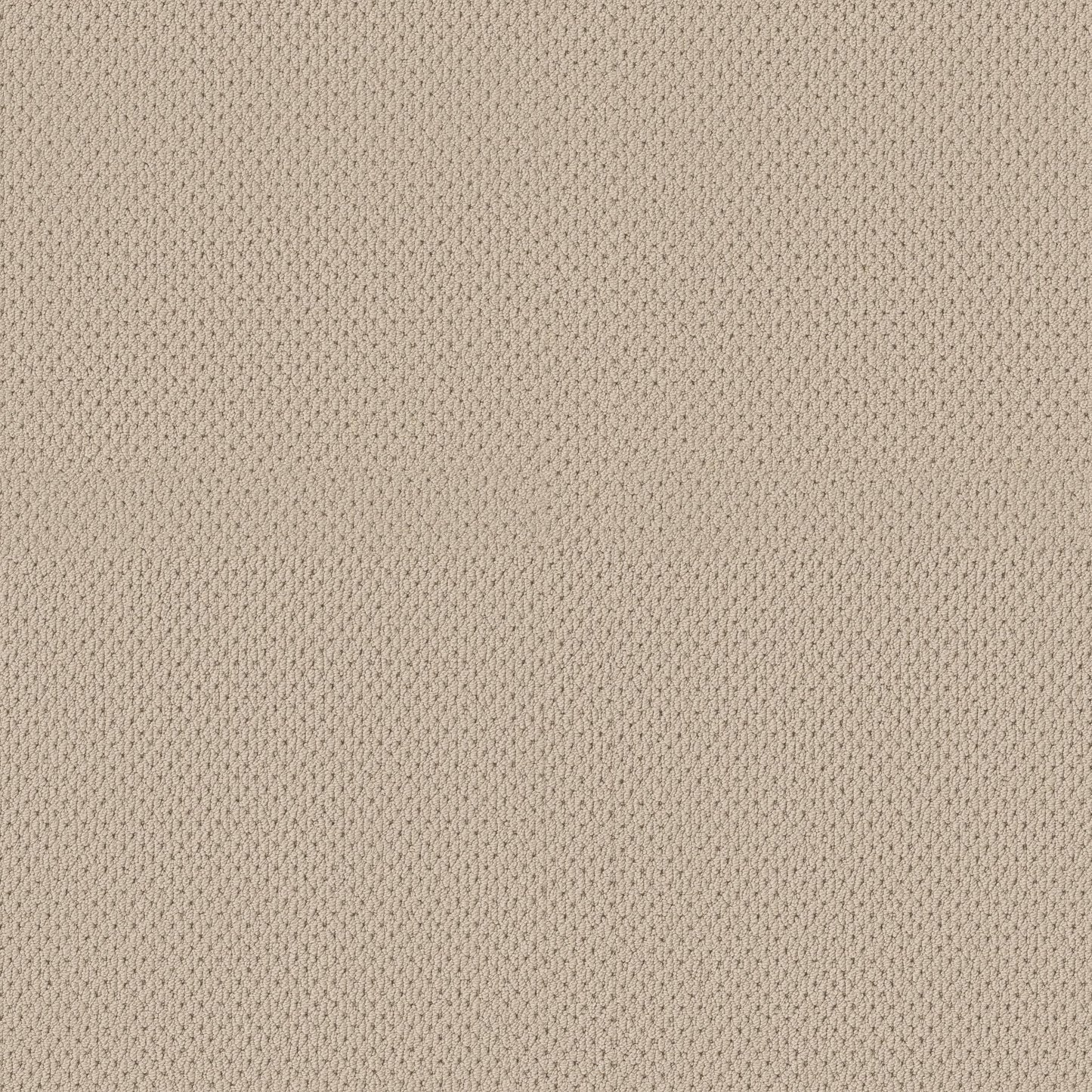 BERBER NYLON LOOP