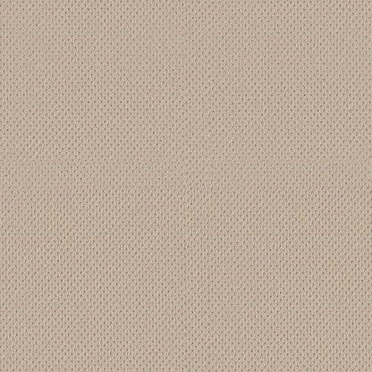 BERBER NYLON LOOP