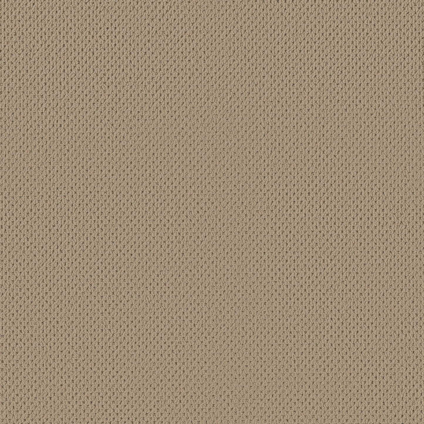 BERBER NYLON LOOP