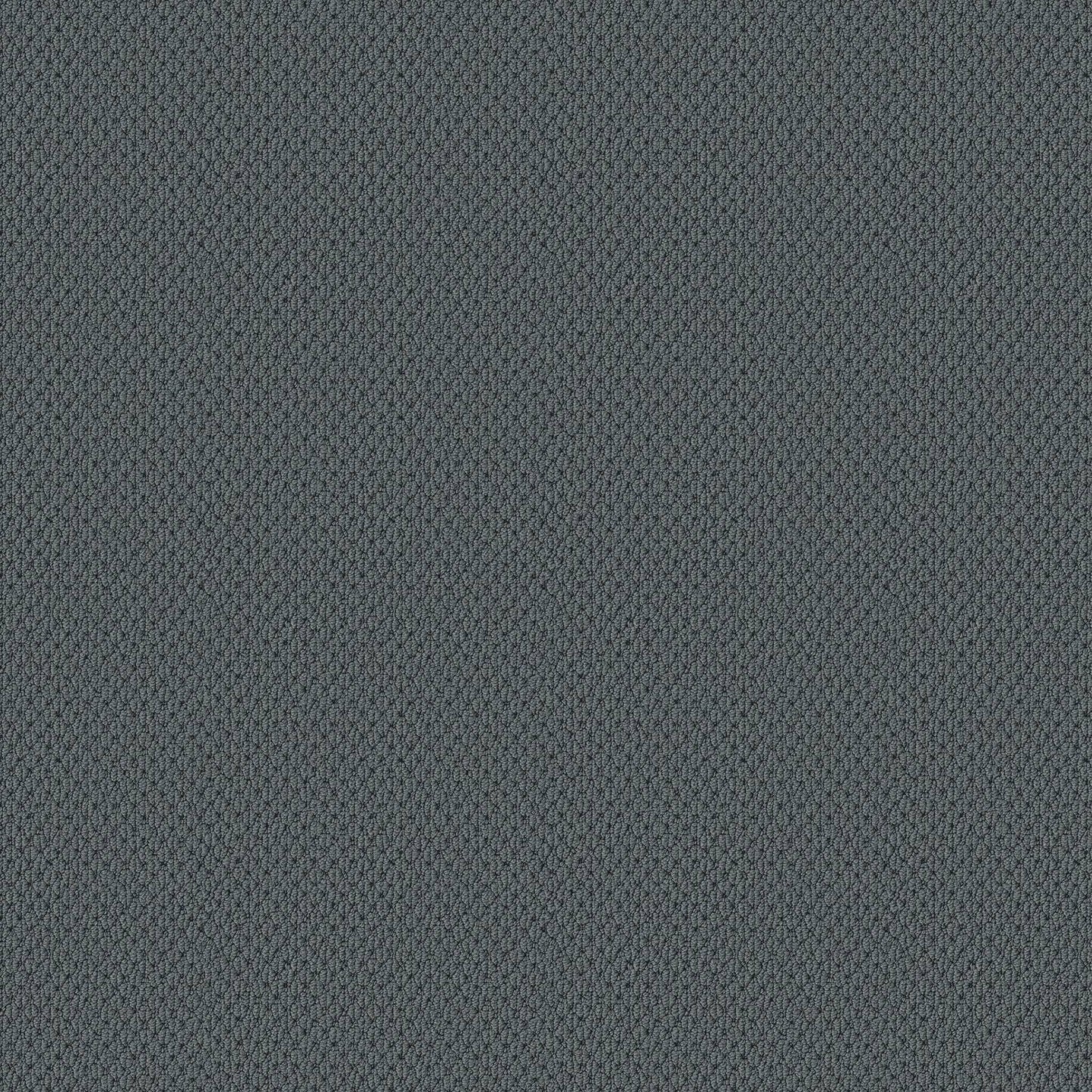BERBER NYLON LOOP