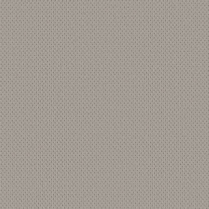 BERBER NYLON LOOP