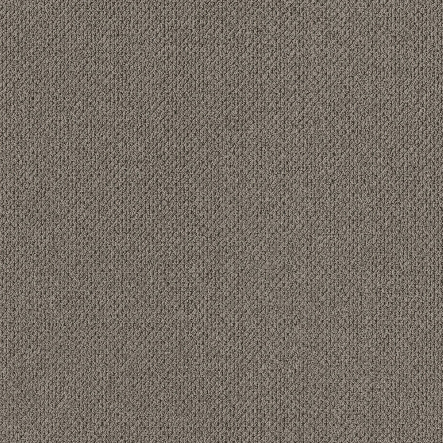 BERBER NYLON LOOP