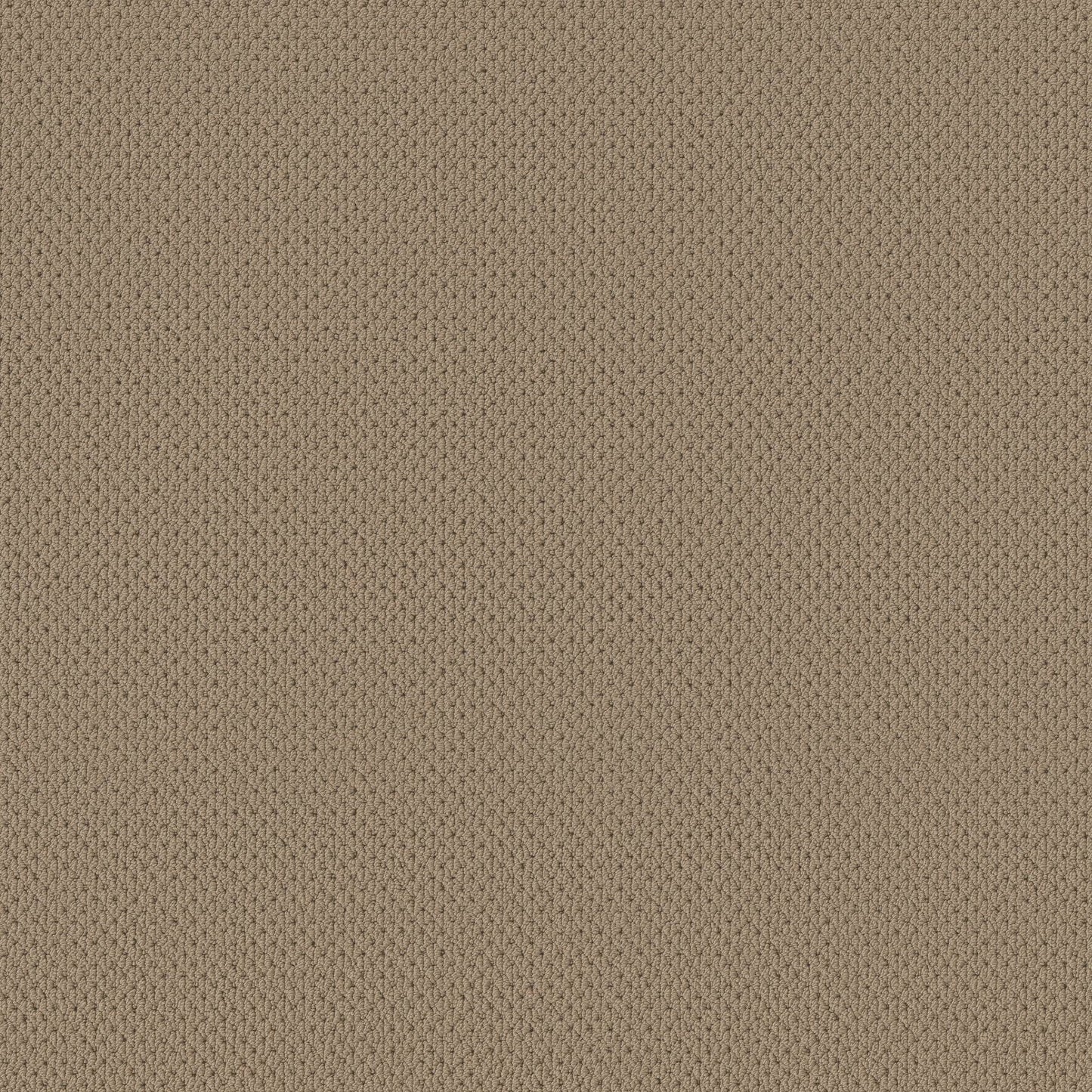BERBER NYLON LOOP