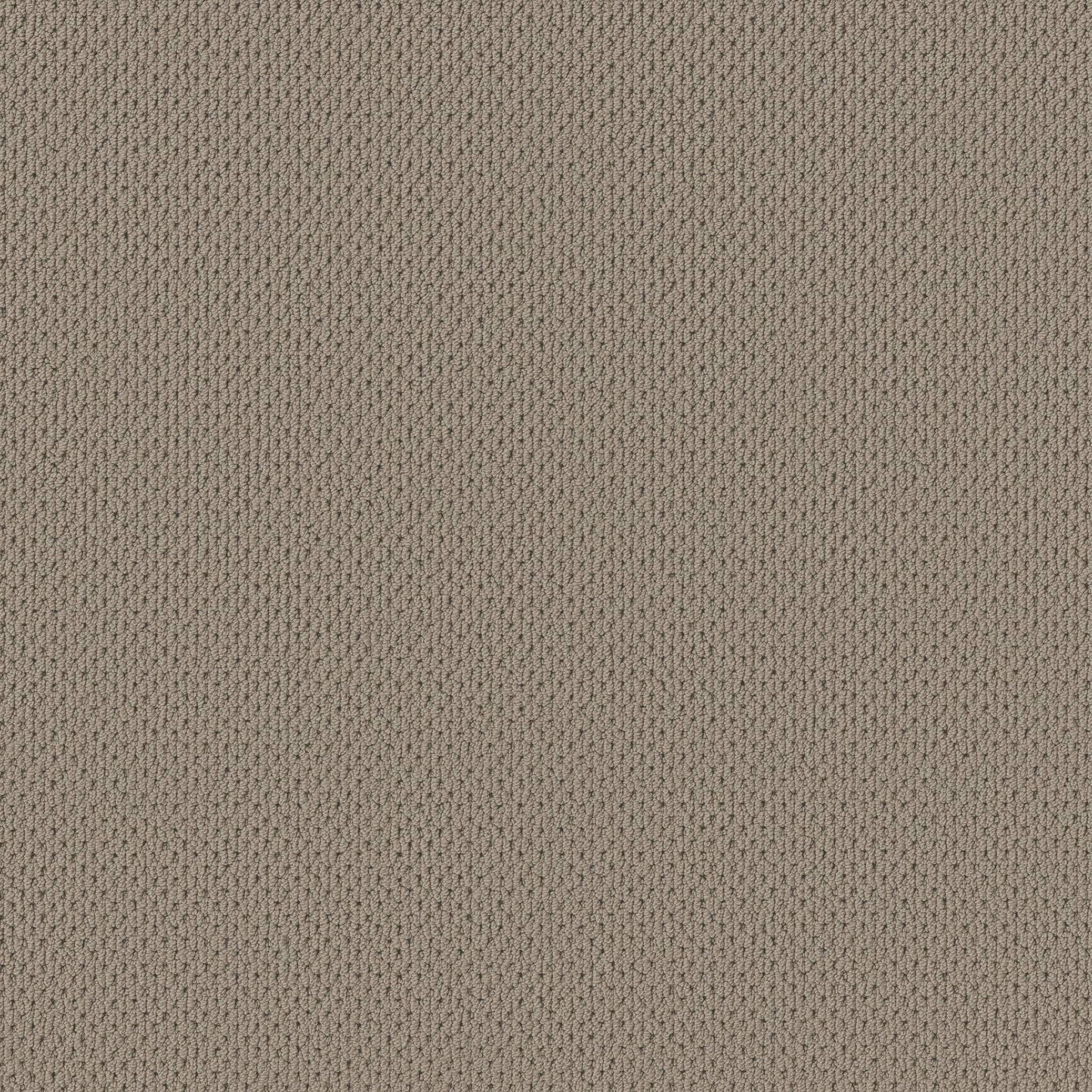BERBER NYLON LOOP